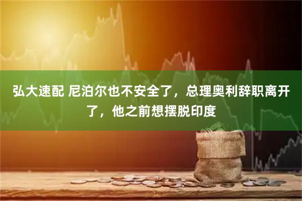 弘大速配 尼泊尔也不安全了，总理奥利辞职离开了，他之前想摆脱印度